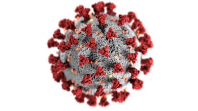 Coronavirus, COVID-19