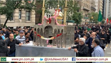 Jaloos Ashora e Muharram New York city