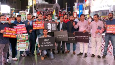 PMLN Youth WIng USA, Maryam Nawaz, Demonstration