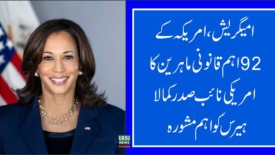 Vice President Kamala Harris, Immigration