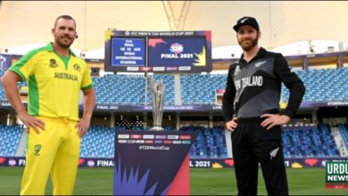 T20, Aus vs New Zealand