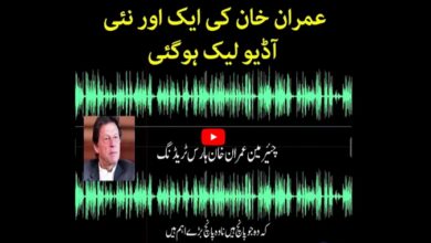 Imran Khan Audio Leak