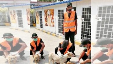 Stray Dogs Center Islamabad